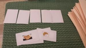 20151016_165211_resized